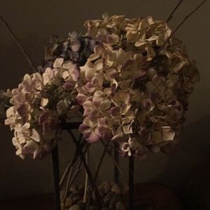 Meet your Posher, Arlene